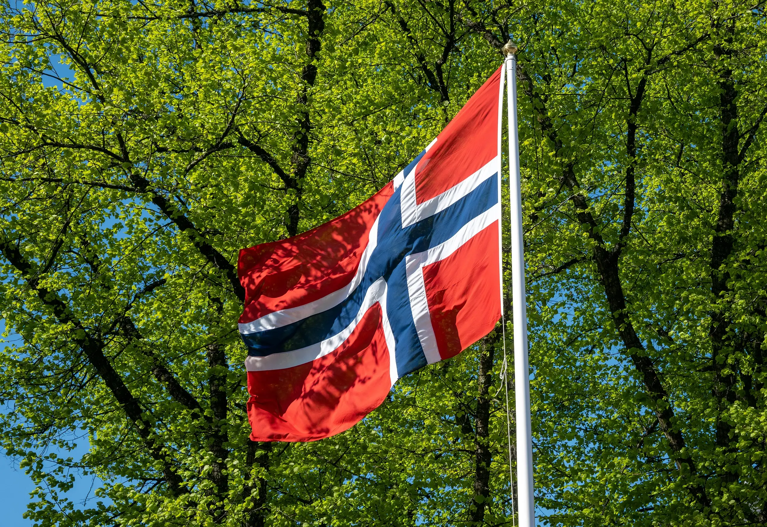 Det norske flagget vaier i vinden med flere trær med grønne blader i bakgrunnen.