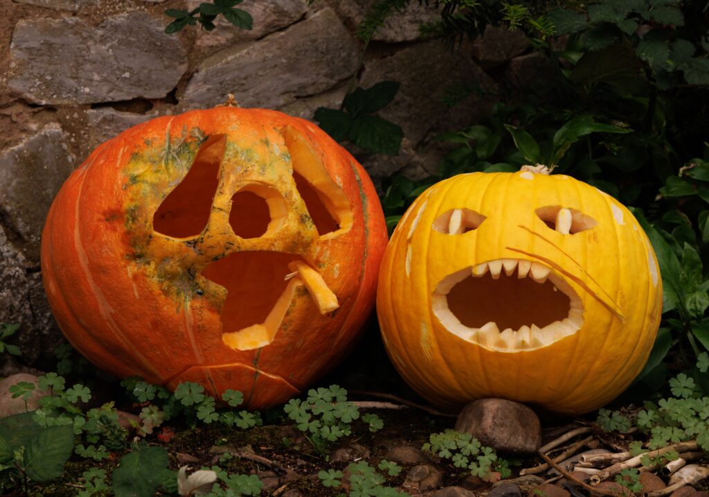 Ikke kast gresskaret etter Halloween